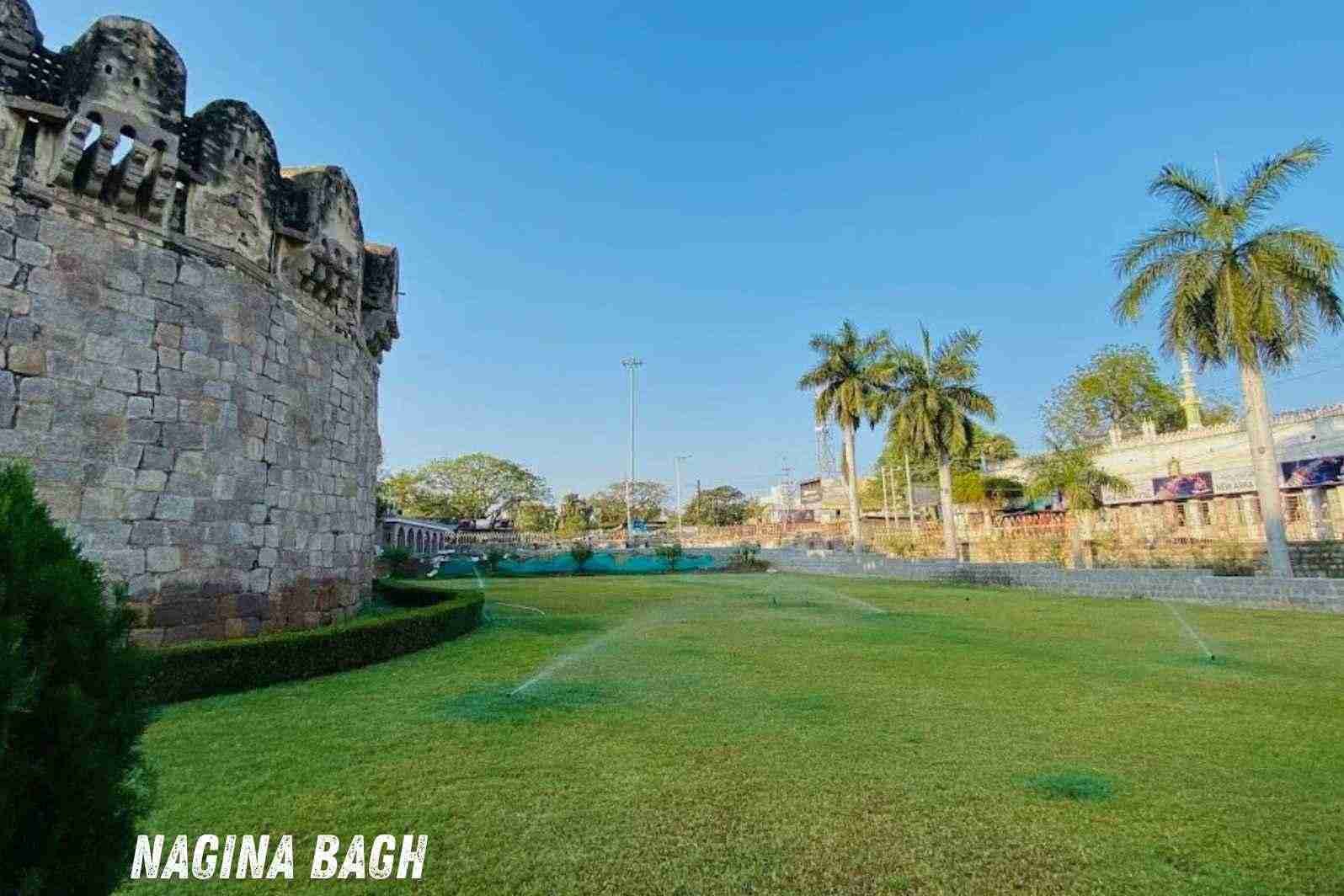 nagina bagh